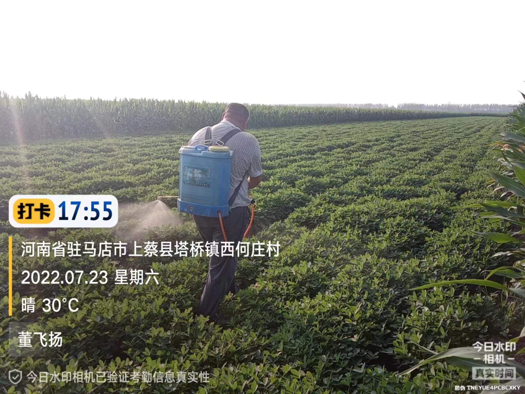 防治夜蛾，“它們”的拿手好戲