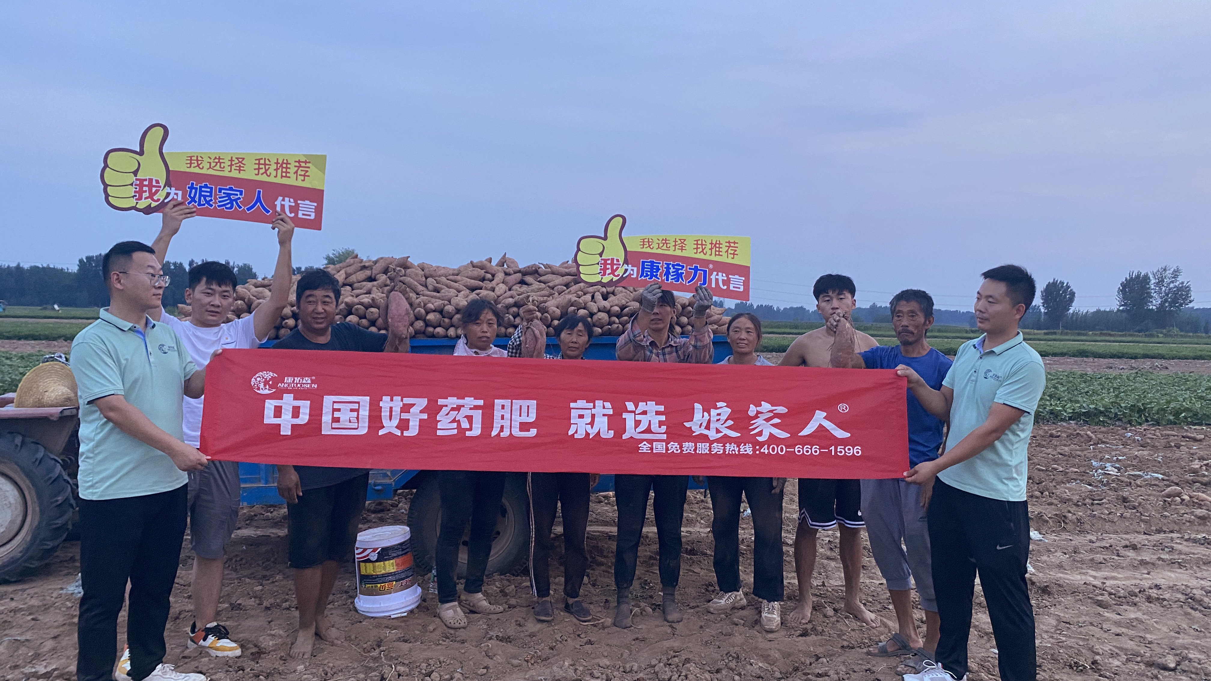 想要紅薯沒病害沒蟲咬？向他學(xué)習(xí)！